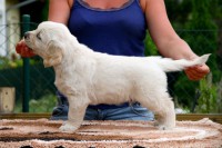 /album/fotogalerie/apollo-postoj-jpg/